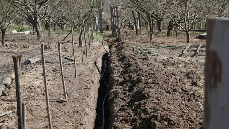 How to Plant Fall Cover Crops When Half the Country Is in Drought