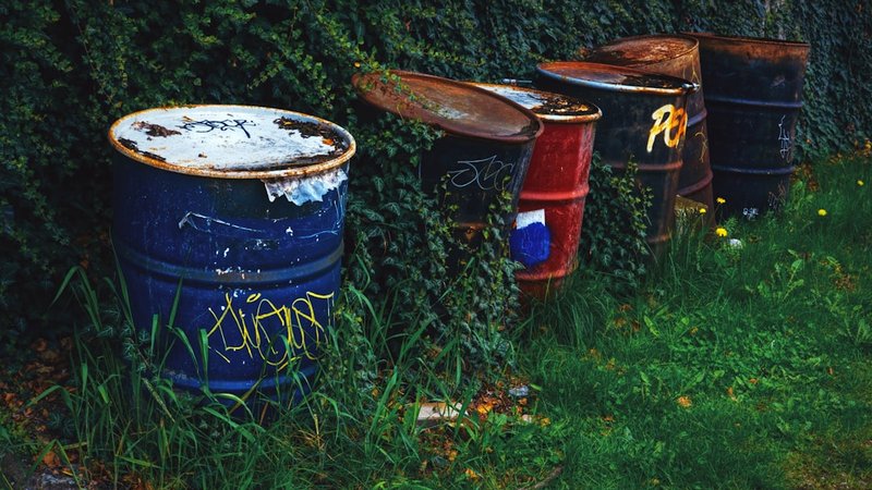 Best Compost Bins in 2026