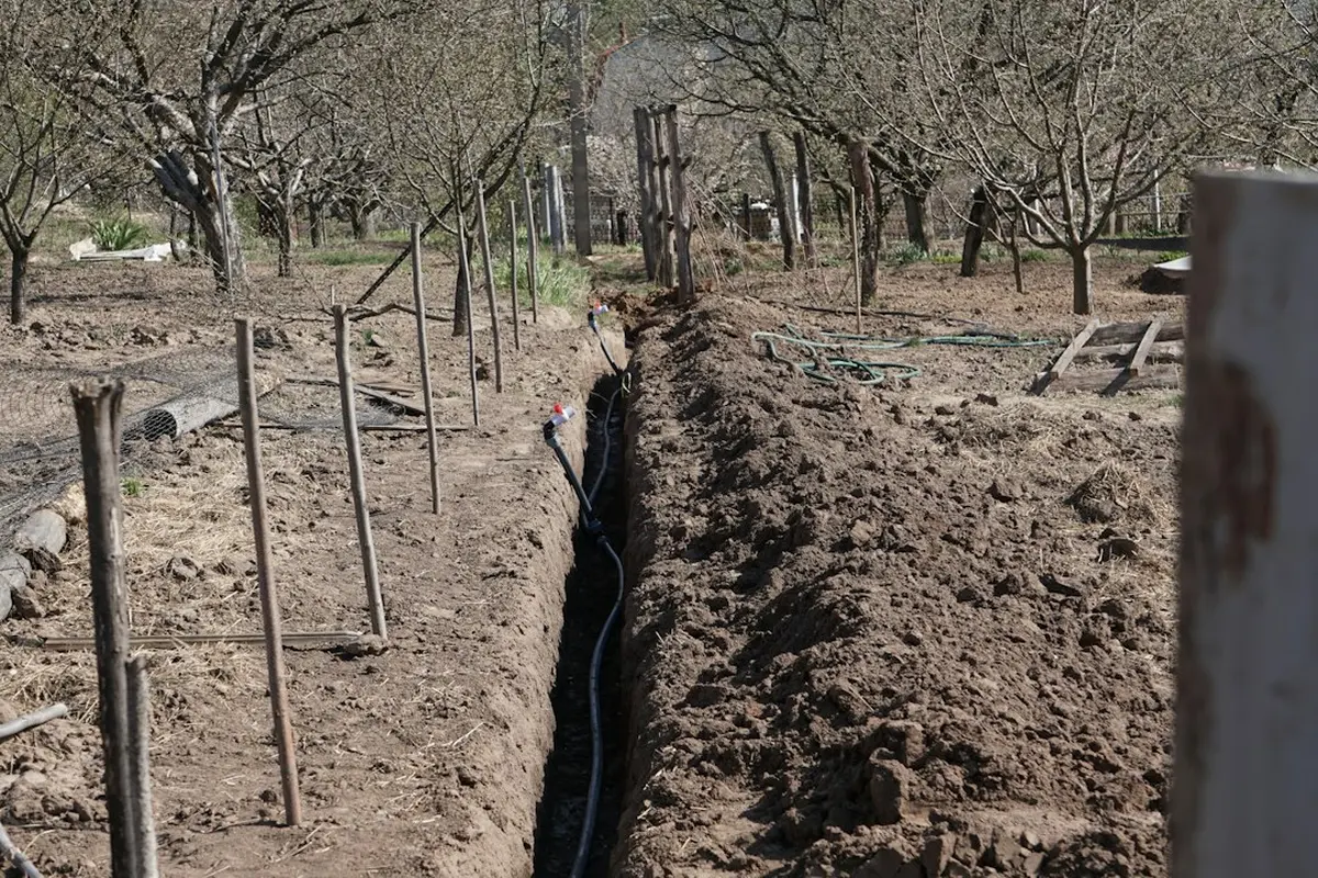 How to Plant Fall Cover Crops When Half the Country Is in Drought