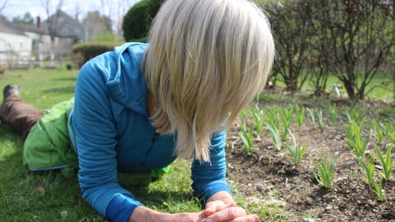 Spring Planting Zones Explained
