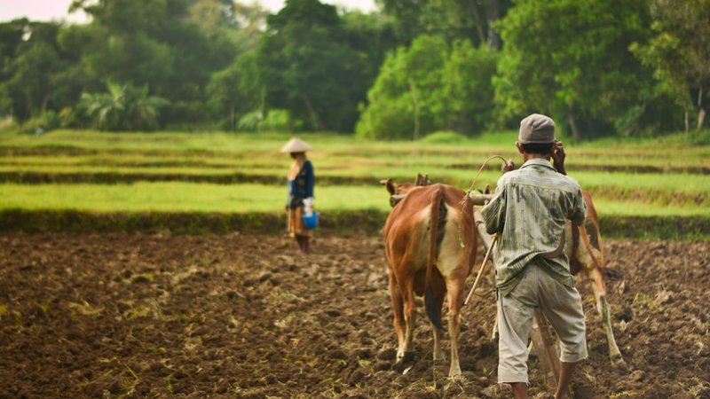 Young Farmers Redefine Sustainable Agriculture