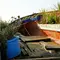 What to Do With a Container Garden in Fall