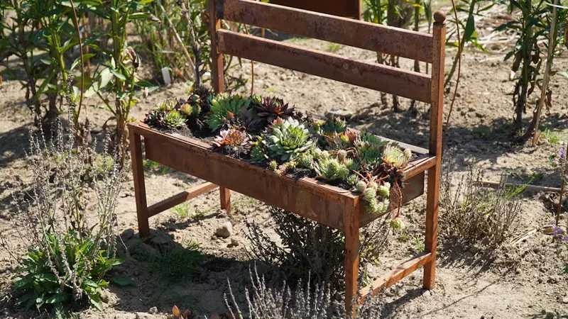 Raised Bed Gardening for Beginners