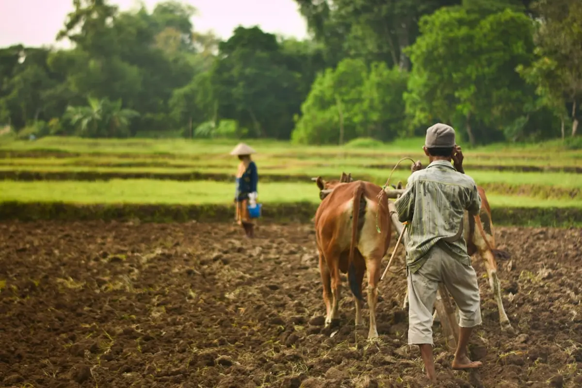 Young Farmers Redefine Sustainable Agriculture