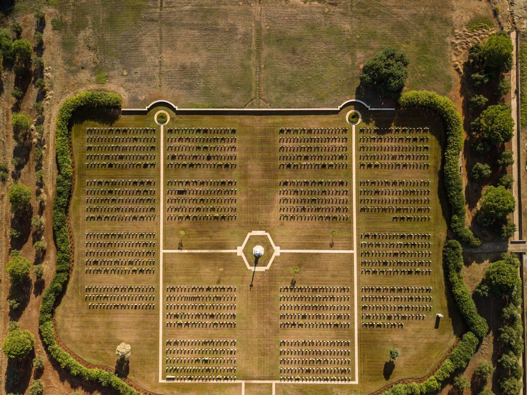 Garden planning diagram showing companion planting guild arrangement with legumes, aromatic herbs, and vegetables