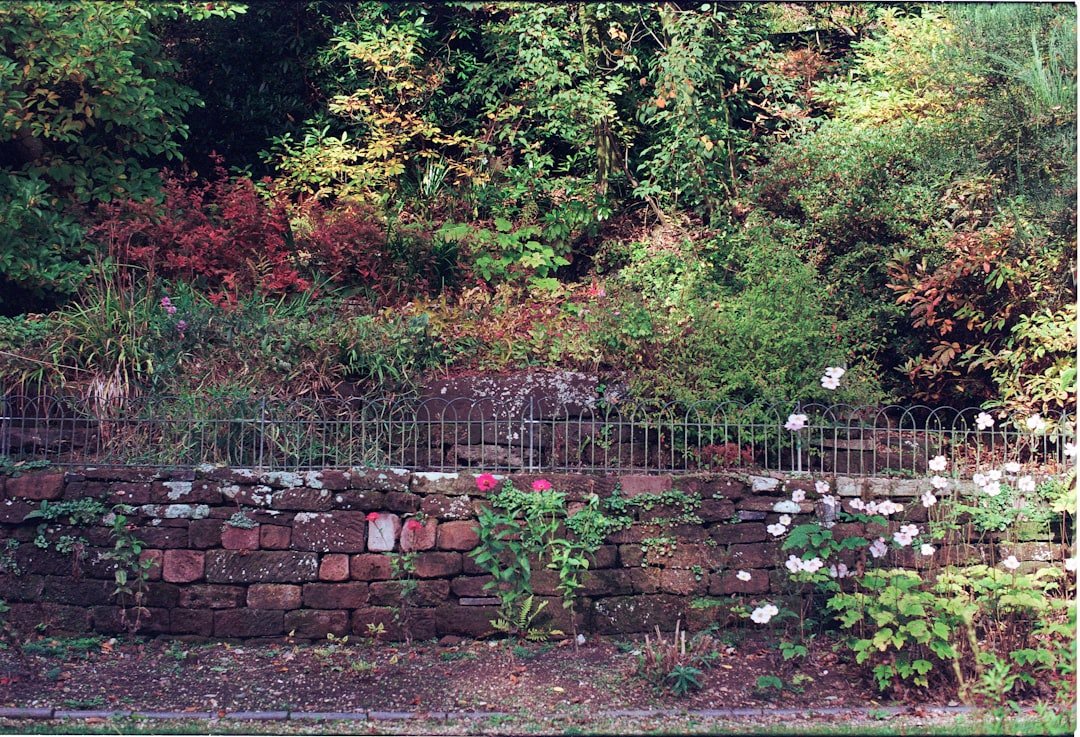 Diverse garden showing multiple microclimate zones including a south-facing wall with espaliered fruit trees, a cold frame with seedlings, and a sheltered herb garden